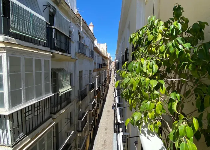 Apartmán Charito 18