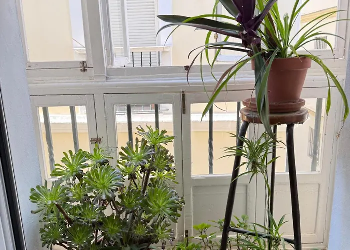 Charito 18 Кадис